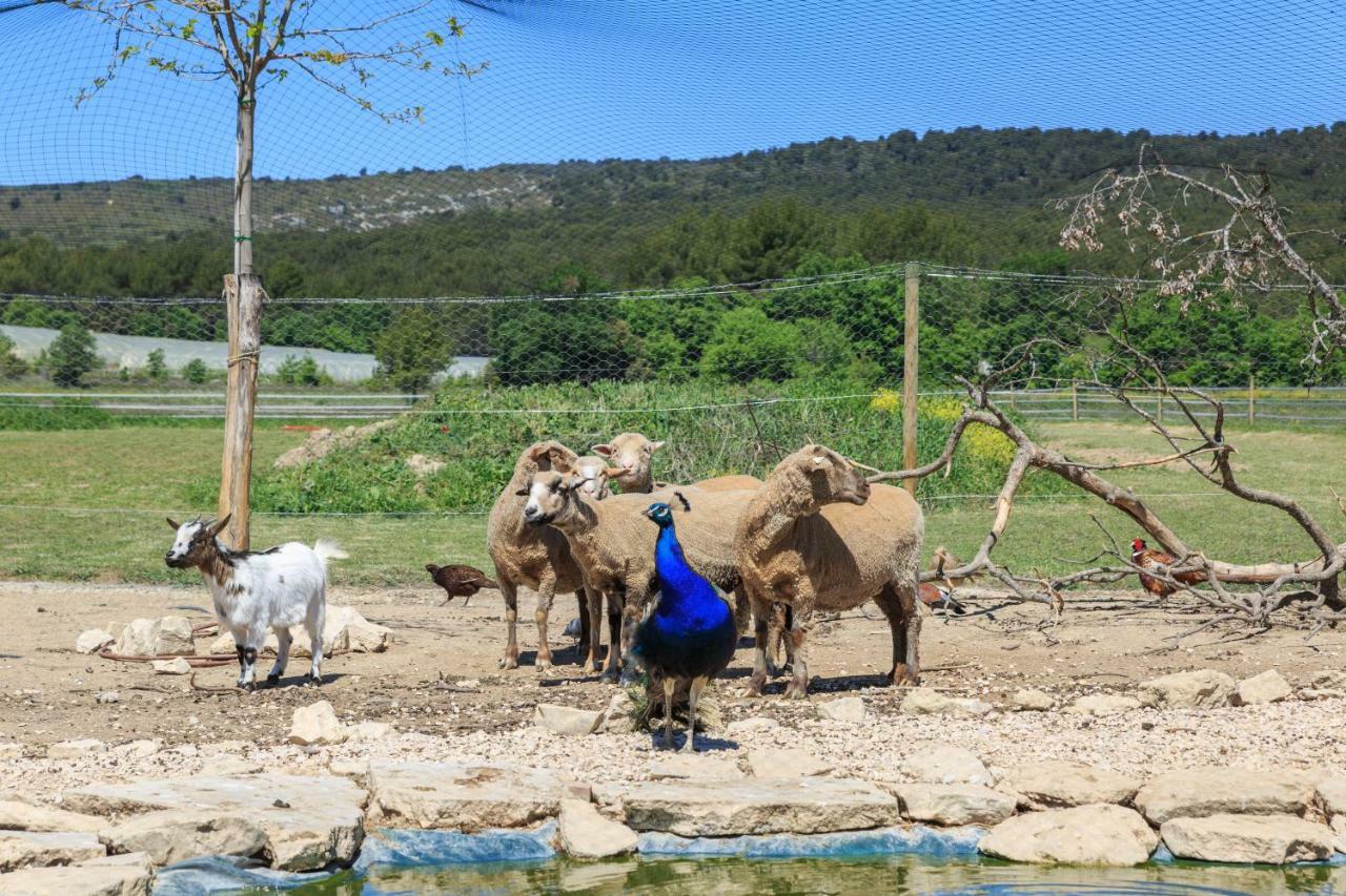 Apartamento Lou Mas Li Pitchoun "La Melonniere" Gordes Exterior foto